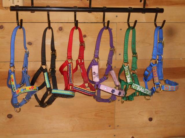 Horse Halters